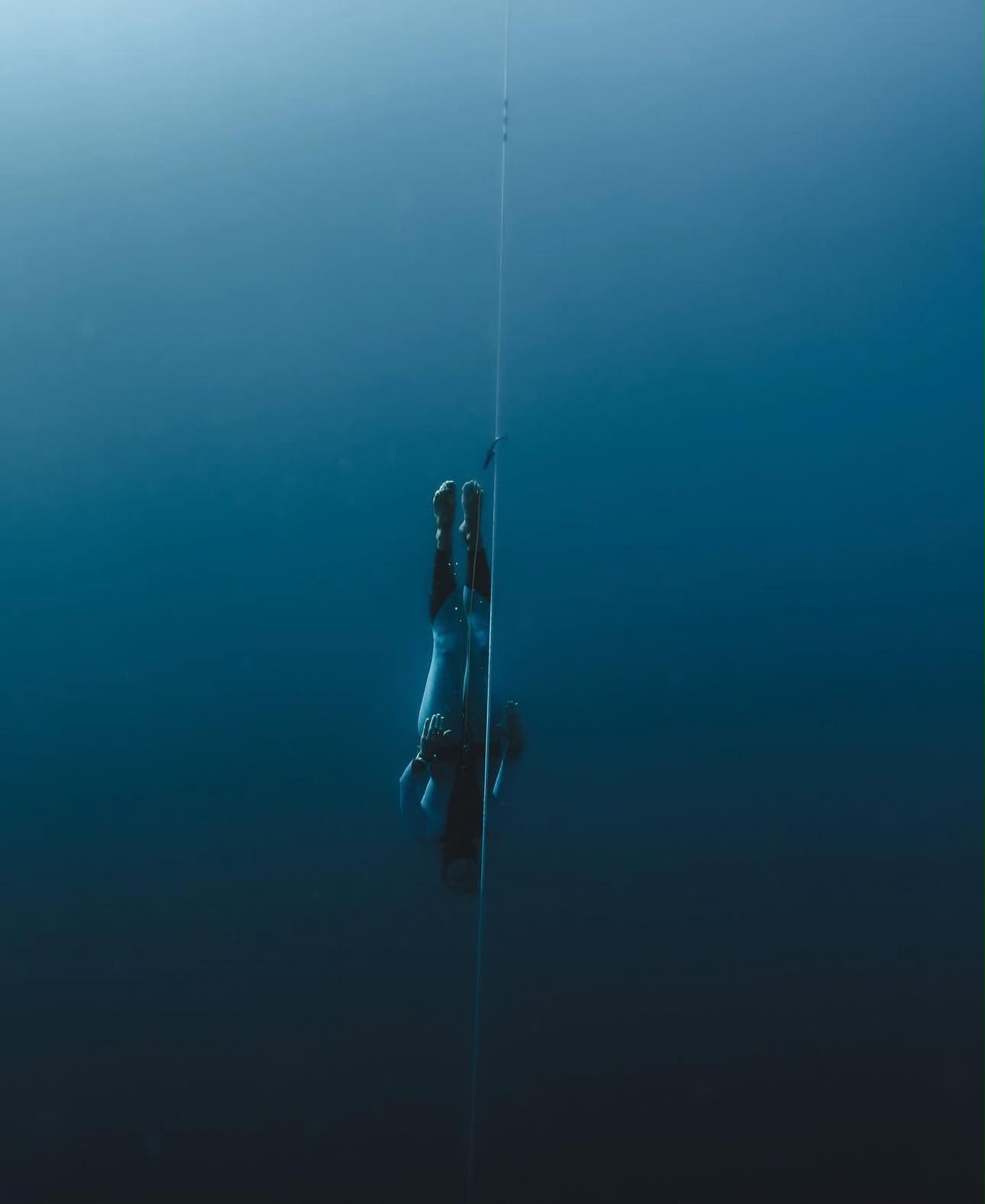 Tania Panés descending head-first along a vertical guideline in open water, surface light above fading into deep blue