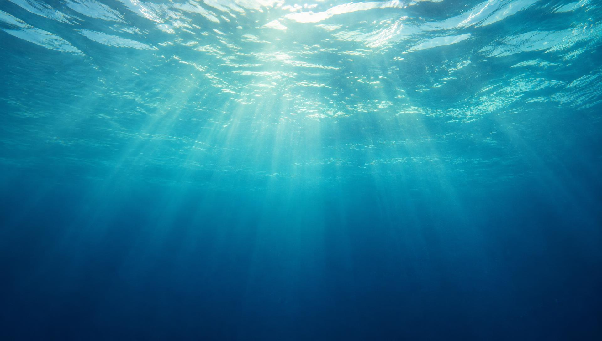 Sunlight filtering through the ocean surface